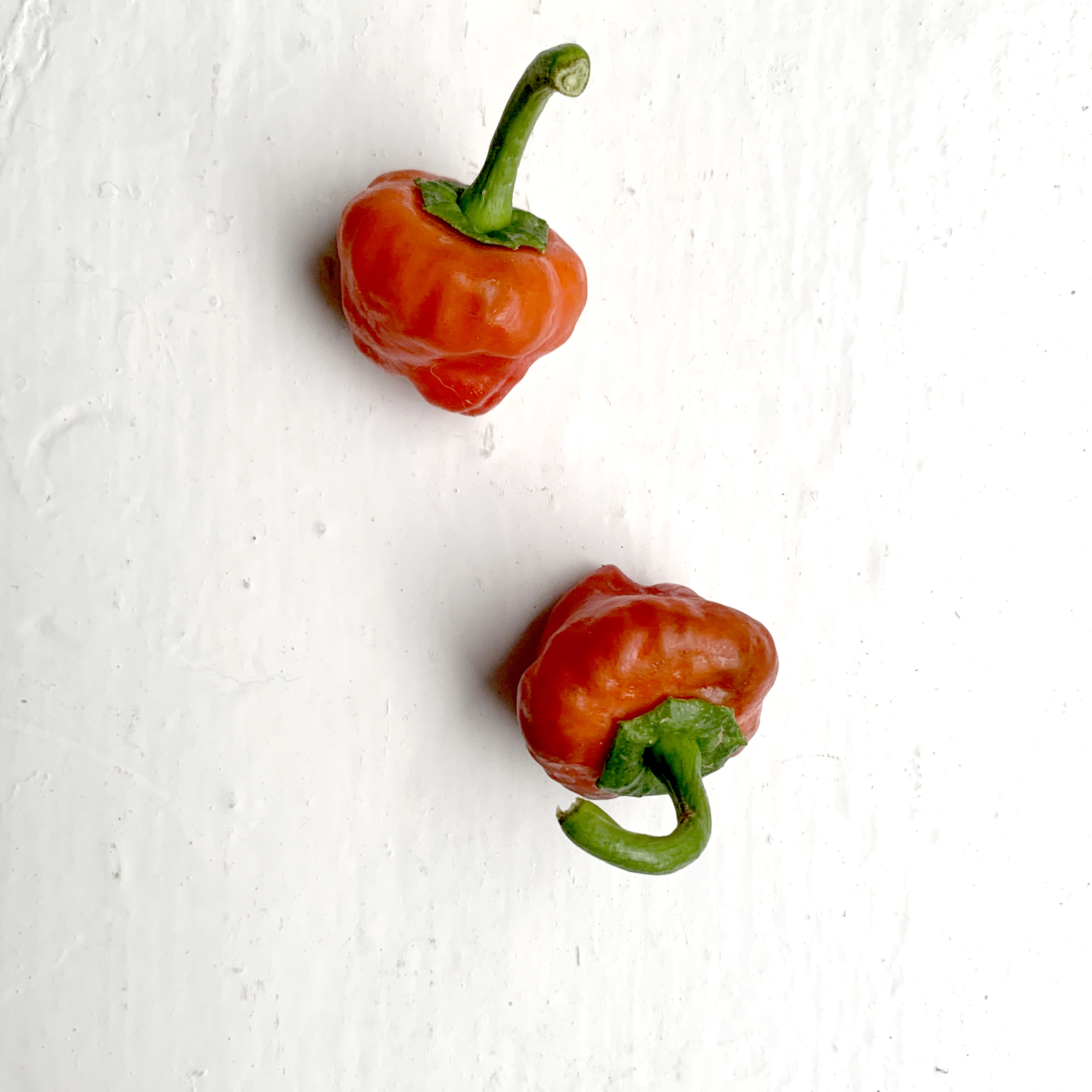 Red Scotch Bonnet